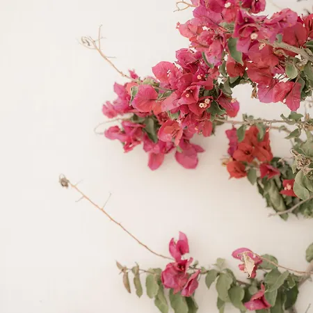 Mare Appartement Ambelas