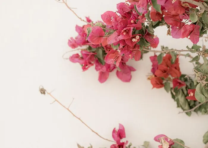 Mare Lägenhet Ambelas